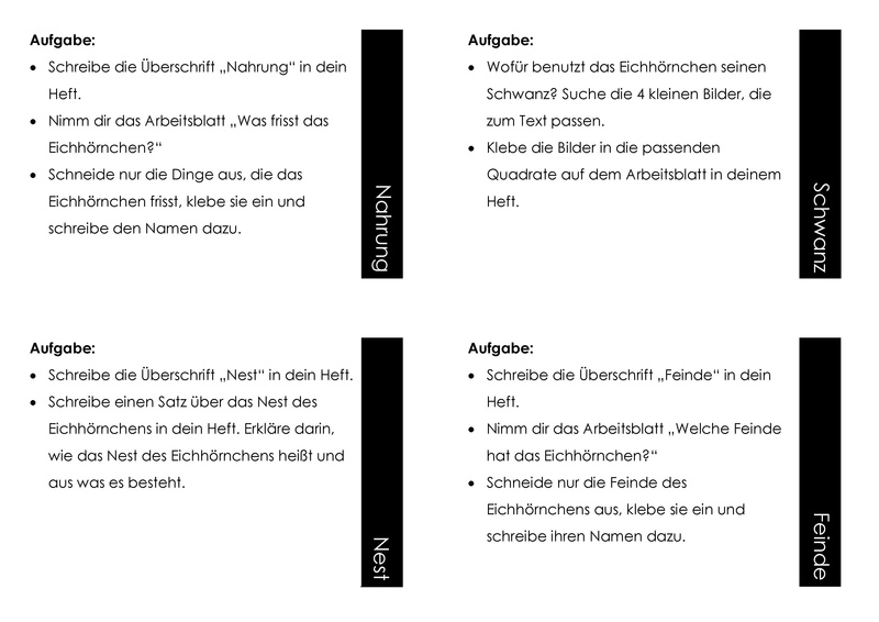 Datei:Eichhörnchenkartei-pdf.pdf