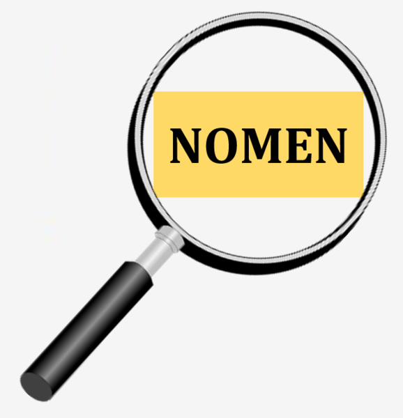 Datei:Nomen (2).png