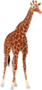 Giraffe-clipart-md.png