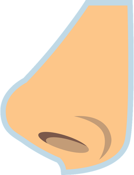 Datei:Nose-clipart-md.png