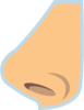 Nose-clipart-md.png