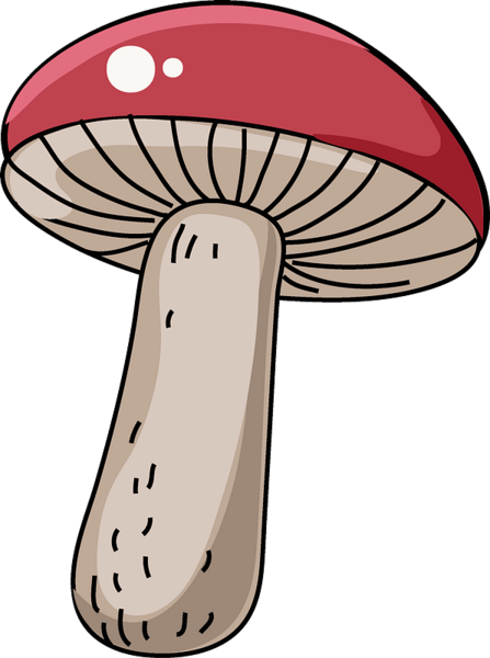 Datei:Mushroom-clipart-md.png