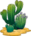 Cactus-clipart-md.png