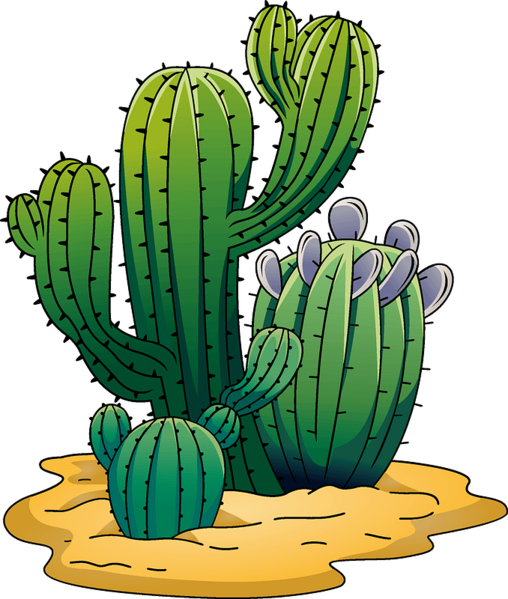 Datei:Cactus-clipart-md.png