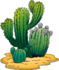 Cactus-clipart-md.png